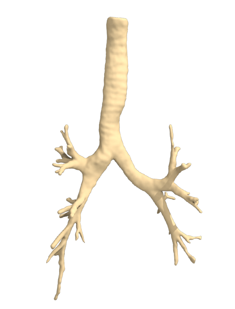 Inspiration Inspiration